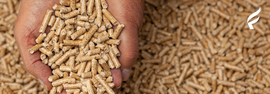 A hand buried in wood pellets