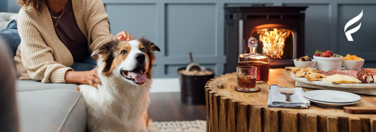 How to Prepare Your Pellet Stove for Burn Season