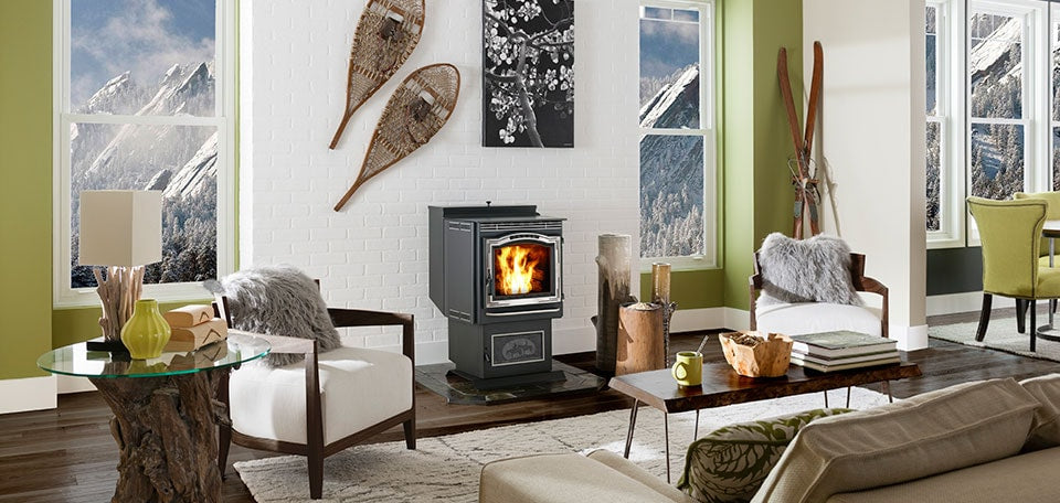 Pellet stove with fire, surrounded by cozy seating, rustic decor, and a window view of snowy mountains in a living room.