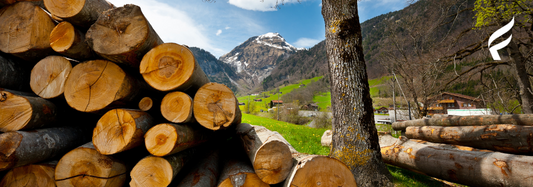 Best Firewood To Burn In Your Stove Or Fireplace Insert