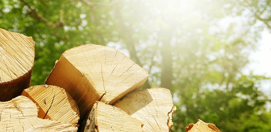 Close-up of a wood pile