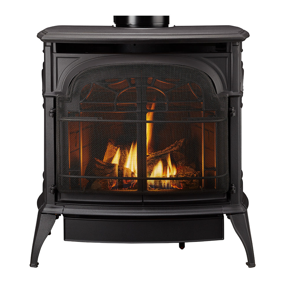 Stardance Direct Vent Gas Stove