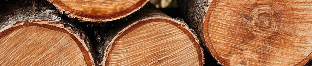 Logs stacked closely together, showcasing wood grain patterns, in a natural, outdoor setting.